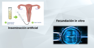 modificar la naturaleza