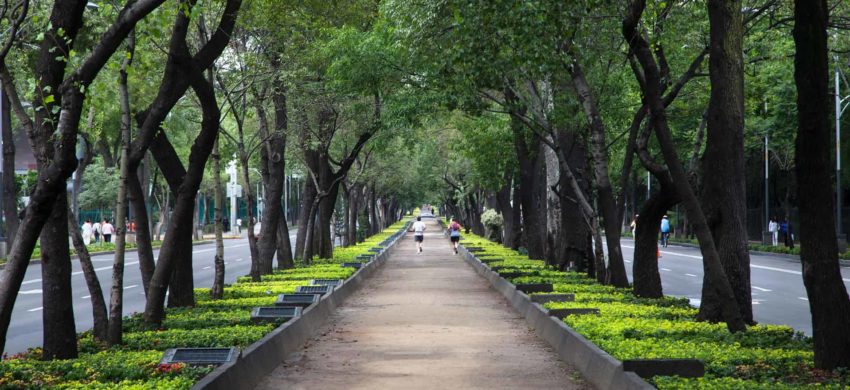 Ciudades más verdes y habitables