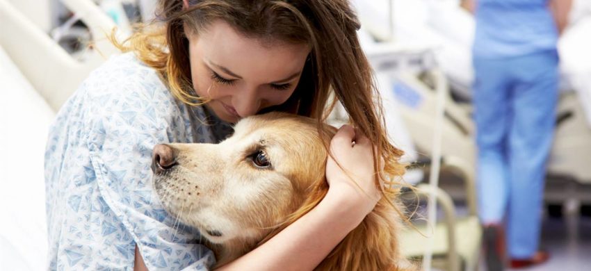 Terapia Asistida con Perros