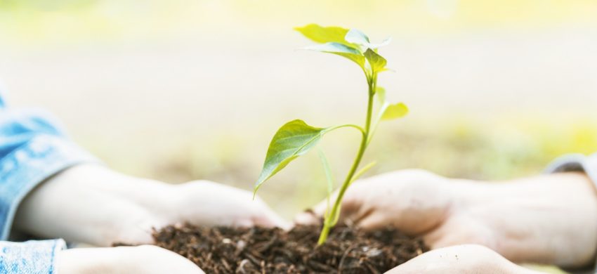 Técnico en Medio Ambiente